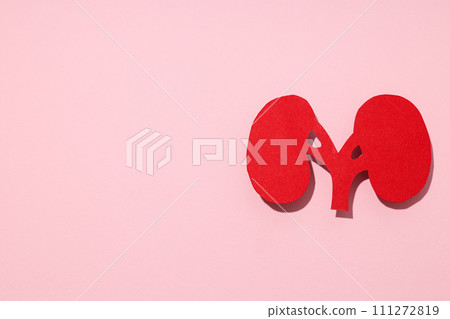Kidneys on a pink background, top view. Kidneys on a pink background, top view. 111272819