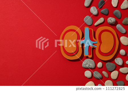 Kidneys made of paper, with stones, on a red background. 111272825