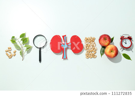 Kidneys on a light background, for National Kidney Month. 111272835