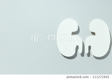 Kidneys on a light background, for National Kidney Month. Kidneys on a light background, for National Kidney Month. 111272842