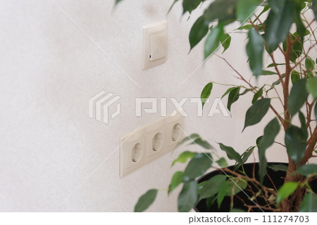 Minimalist panorama of a potted plant on granite countertops Minimalist panorama of a potted plant on granite countertops 111274703
