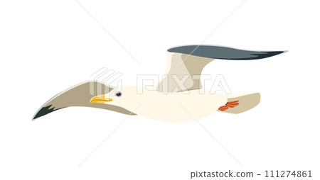 Cartoon seagull, isolated vector graceful and free bird soars above the waves, its wings catching the wind. Symbol of wild coastal beauty, it dances with breeze, embodying freedom and maritime allure Cartoon seagull, isolated vector graceful and free bird soars above the waves, its wings catching the wind. Symbol of wild coastal beauty, it dances with breeze, embodying freedom and maritime allure 111274861