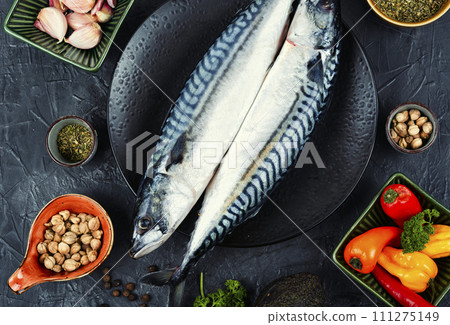 Raw mackerel fish with ingredients. Raw mackerel fish with ingredients. 111275149