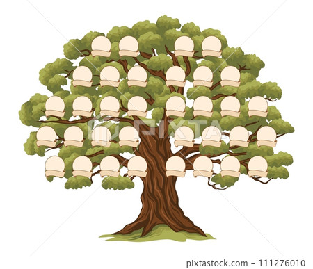 Genealogy family tree with frames for ancestry history branch, vector template background, Genealogy family tree generation and parents relationship with picture photo frame and name ribbons 111276010