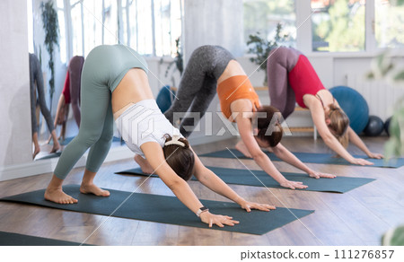 Group of women standing in Downward Dog pose in yoga studio 111276857