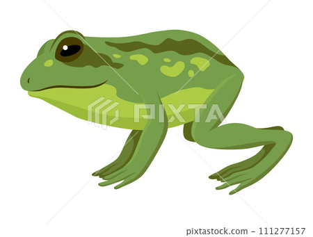 Frog jumping animation icon. Sequences or footage for motion design. Cartoon toad jumping, animal movement concept. Frog leap sequence, vector illustration Frog jumping animation icon. Sequences or footage for motion design. Cartoon toad jumping, animal movement concept. Frog leap sequence, vector illustration 111277157