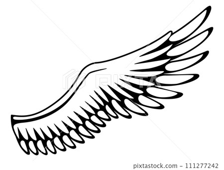 Wings sketch. Stylized birds wings. Hand drawn contoured stiker wing in open position. Vector design elements in coloring style 111277242