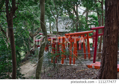 伊予稻荷神社 111277477