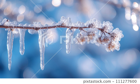 Crystal-clear icicles hanging from a frozen branch, reflecting winter's beauty 111277600