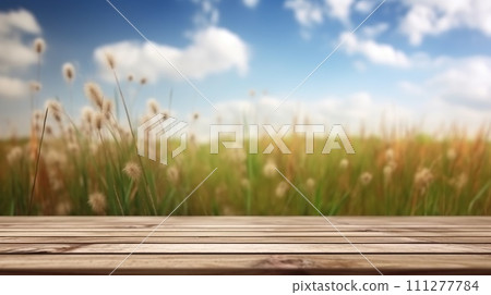 Wooden floor with meadow background against blue sky, natural eco-friendly design 111277784