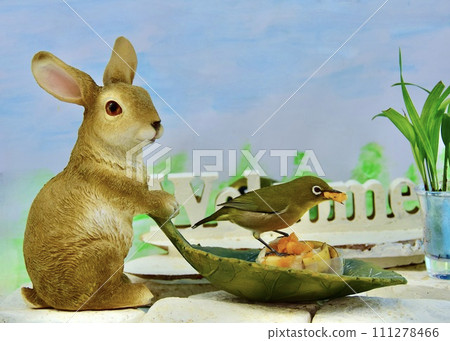 Hmm, these mandarin oranges are the best in the world. 111278466