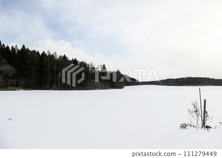 Dry grass nestling in the snowy fields of the vast Koiwai Farm Dry grass nestling in the snowy fields of the vast Koiwai Farm 111279449