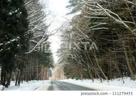 小岩井農場的雪樹和球磨竹 暴風雪過後,雪落在小岩井農場的樹枝上的圖案 小岩井農場的雪樹和球磨竹 暴風雪過後,雪落在小岩井農場的樹枝上的圖案 111279455