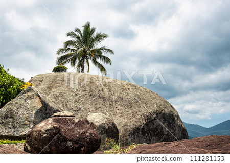 Ilha Grande, Brazil - Jan 27, 2024 Ilha Grande, Brazil - Jan 27, 2024 111281153