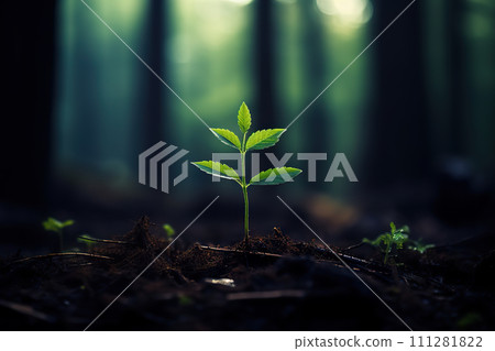Nature's Resilience A Tender Green Tree Seedling Thriving and Growing Amidst the Woods' Canopy. created with Generative AI 111281822