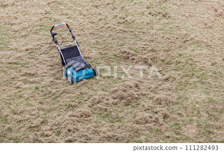 Scarifying lawn with scarifier, scarifies the lawn and removal of old grass 111282493
