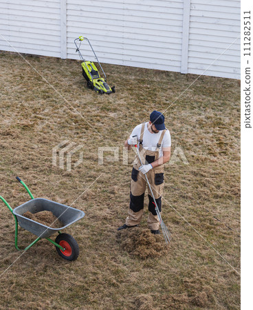 Scarifying lawn with rake and scarifier, Man gardener scarifies the lawn and removal of old grass 111282511