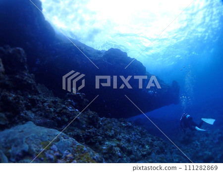 潛入石垣島的“藍色世界” 111282869