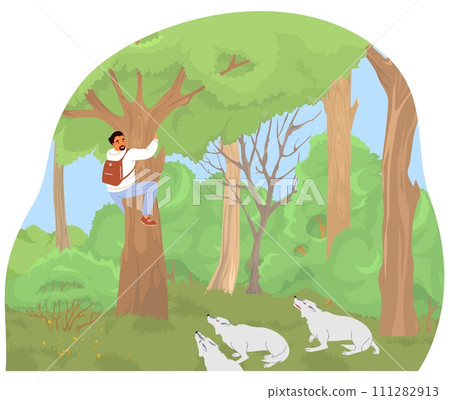 Pack of wolves or wild dogs attacking traveler in forest 111282913