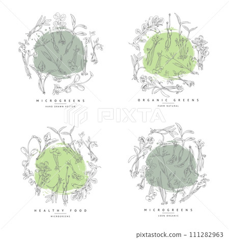 Engraved microgreens round labels set, vector hand drawn natural watercress, coriander mung herbs, healthy organic food 111282963