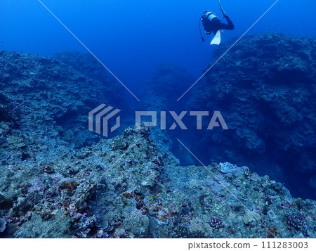 Dive the seabed off Kabira Bay, Ishigaki Island 111283003