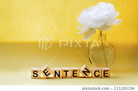 The word sentence is written on a wooden block. Offer text on yellow background The word sentence is written on a wooden block. Offer text on yellow background 111283194