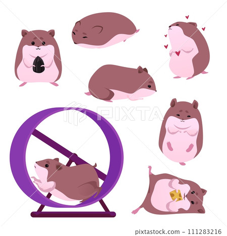 Funny cute hamsters, set of vector illustrations on white, flat cartoon 111283216