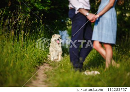 happy dog is having a rest with the owner in the nature. have fun with her dog in park 111283767