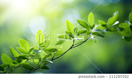The vibrant green leaves in the summer garden create a natural backdrop 111285502