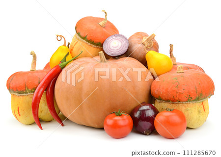 Beautiful composition of various pumpkins and other vegetables isolated on white Beautiful composition of various pumpkins and other vegetables isolated on white 111285670