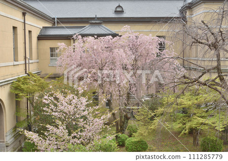 Kyoto Prefectural Government Old Main Building Kyoto Prefectural Government Old Main Building 111285779