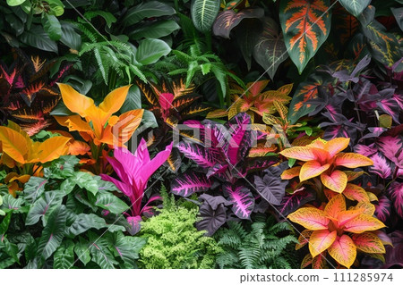 colorful tropical garden full of bright exotic colored plants colorful tropical garden full of bright exotic colored plants 111285974