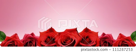 Beautiful banner with red roses background of Mothers, Valentine Day, Birthday, Anniversary, Wedding. Copy space. For advertisement, greeting card mockup, presentation, header, poster, website, print. Beautiful banner with red roses background of Mothers, Valentine Day, Birthday, Anniversary, Wedding. Copy space. For advertisement, greeting card mockup, presentation, header, poster, website, print. 111287253