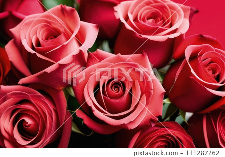 Beautiful banner with red roses background of Mothers, Valentine Day, Birthday, Anniversary, Wedding. Copy space. For advertisement, greeting card mockup, presentation, header, poster, website, print. Beautiful banner with red roses background of Mothers, Valentine Day, Birthday, Anniversary, Wedding. Copy space. For advertisement, greeting card mockup, presentation, header, poster, website, print. 111287262