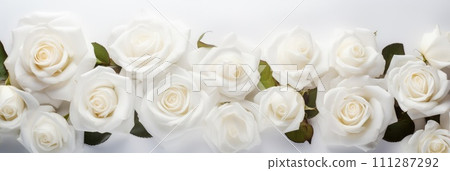 Beautiful banner with white roses background of Mothers, Valentine Day, Birthday, Anniversary, Wedding. Copy space. For advertisement, greeting card mockup, presentation, header, poster, website. Beautiful banner with white roses background of Mothers, Valentine Day, Birthday, Anniversary, Wedding. Copy space. For advertisement, greeting card mockup, presentation, header, poster, website. 111287292