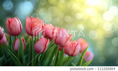 [AI生成影像/AI插圖]閃閃發光的鬱金香 111288864