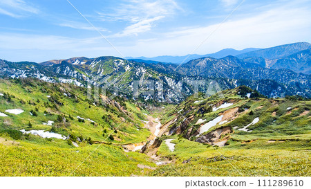 Scenery of Shiga-Kusatsu Road (May, near the highest point of Japan's national highways) 111289610