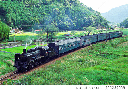 Steam locomotive of Oigawa Railway Steam locomotive of Oigawa Railway 111289639