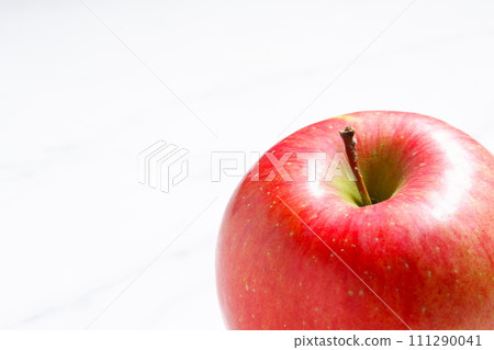 明亮的紅蘋果 明亮的紅蘋果 111290041