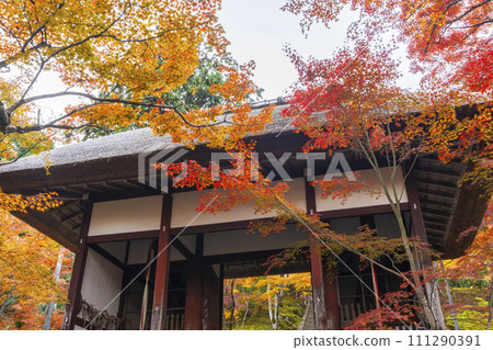 秋天的京都,秋葉覆蓋的常寂光寺,仁王門與石階方法 秋天的京都,秋葉覆蓋的常寂光寺,仁王門與石階方法 111290391