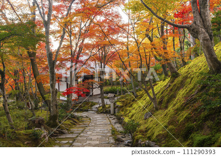 秋天的京都,常寂光寺,從末吉坂看到的秋葉覆蓋的仁王門 秋天的京都,常寂光寺,從末吉坂看到的秋葉覆蓋的仁王門 111290393