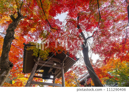 秋天的京都,常寂光寺鐘樓覆蓋著秋葉 秋天的京都,常寂光寺鐘樓覆蓋著秋葉 111290406