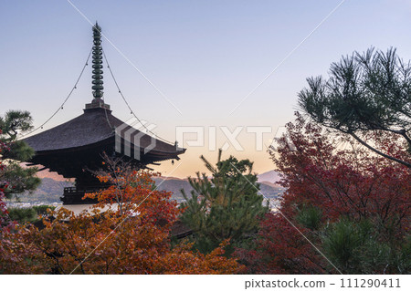 Autumn in Kyoto, Jojakkoji Temple, looking at the Tahoto Pagoda from a vantage point Autumn in Kyoto, Jojakkoji Temple, looking at the Tahoto Pagoda from a vantage point 111290411