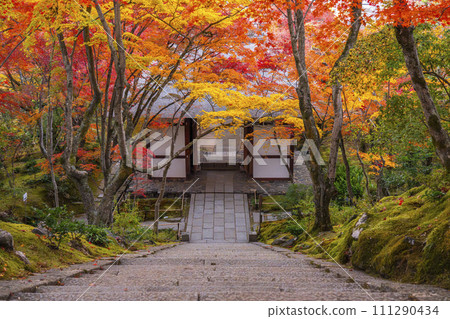 View of the Niomon Gate covered in autumn leaves from the main hall of Jojakkoji Temple in Kyoto in autumn View of the Niomon Gate covered in autumn leaves from the main hall of Jojakkoji Temple in Kyoto in autumn 111290434