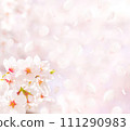 櫻花和飄落的花瓣（春天圖像背景素材） 111290983
