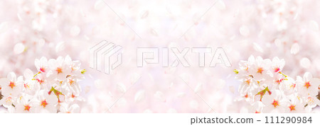 Spring image background material of cherry blossoms and falling petals 111290984