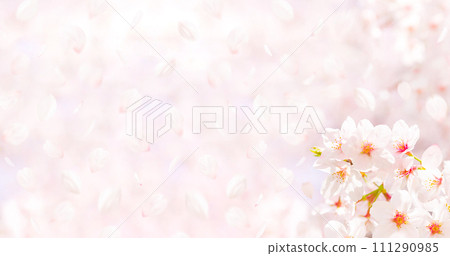 櫻花飄落的春天意象背景素材 櫻花飄落的春天意象背景素材 111290985