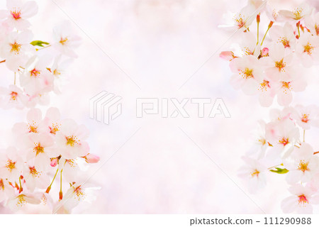 櫻花花瓣側框（春天圖像背景素材） 111290988