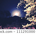 Night cherry blossom festival background 111291000