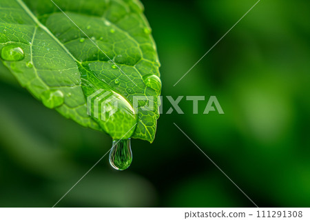 "AI generated image" with water droplets 111291308